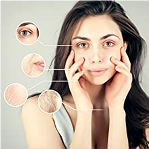 0d91decb 34fa 41dc 8bf6 c9ff2117f7f6. CR00300300 PT0 SX300 V1