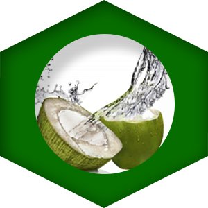 KT Professional Advanced Hair Care Extreme Coconut Repair Conditioner