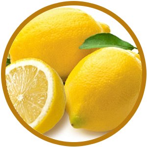 3447b17b 8d51 429b a882 02f84230ca4f. CR00300300 PT0 SX300 V1 1 1