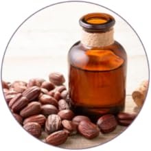 3758a169 227b 4d97 9b62 c92515cb5a23. CR00300300 PT0 SX220 V1