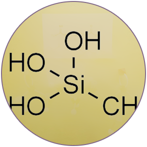 42a72b51 b1e9 4cd8 b570 62f46f61f374. CR00300300 PT0 SX300 V1