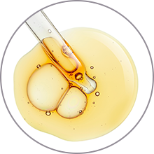 4da1064b b5f8 45a5 8e18 4340332e7a48. CR00220220 PT0 SX220 V1