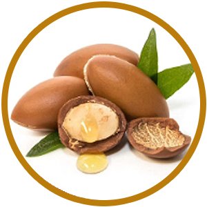 5d1c91c3 b010 4282 98dd 571336ac9f2f. CR00300300 PT0 SX300 V1 1 1