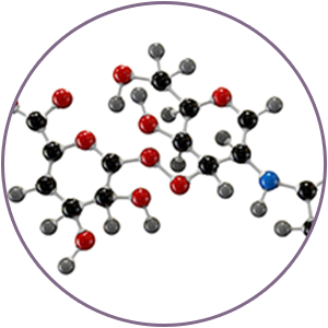 974c2f99 747f 4357 93ff d27e38e6d9bd. CR00300300 PT0 SX300 V1