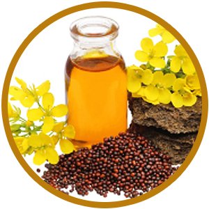 a33588be 1280 4eb0 bc53 45a400c1986a. CR00300300 PT0 SX300 V1 1 1