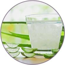 bf97a3ce e13e 4e23 ac2b bc352061a3b0. CR00300300 PT0 SX220 V1